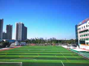 权威推荐:广东 3+证书辅导、高职高考报考与志愿填报优质机构解析