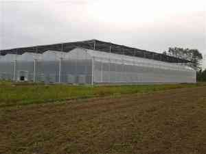 育苗/双层/双膜/拱形连栋温室及大棚搭建企业推荐，聚焦优质供货商！
