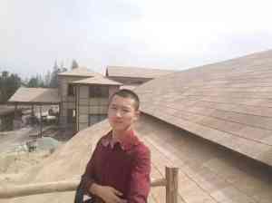 仿真树皮及树皮瓦生产厂家推荐：聚焦厂家，探寻优质产品供应源头