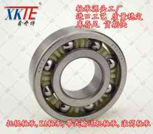 皮带机轴承、逆止托辊轴承等供货及订制厂家推荐，厂家值得关注