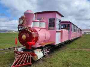 网红餐厅模型、教学模拟模型等厂家推荐：聚焦实力厂商深度解析