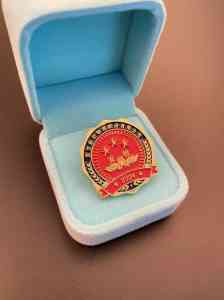 渐变仿珐琅徽章、企业金银徽章等供货厂家推荐，厂家实力解析