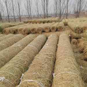 环保稻草毯等厂家推荐：专业护坡草毯制造，优质生态绿化材料之选