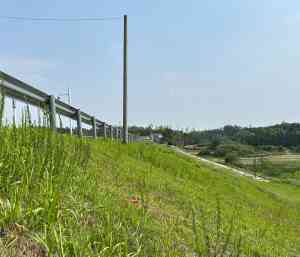 堤防白蚁智慧监测装置厂家推荐：聚焦技术实力与应用成效解析