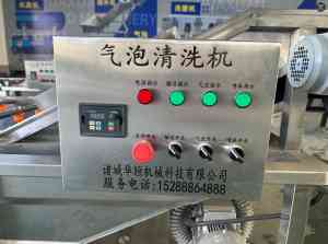 葡萄/大姜/辣椒/小龙虾/洋葱气泡清洗机批发、订做、制造厂家推荐