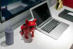 浦东墙面、嘉定局部、杨浦厨房、宝山别墅翻新方案推荐，知名装修公司助力焕新