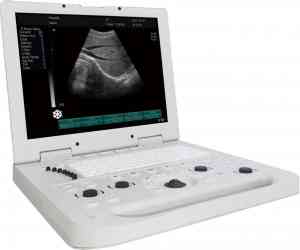 宠物B超仪制造企业推荐：优质厂家助力宠物医疗检测