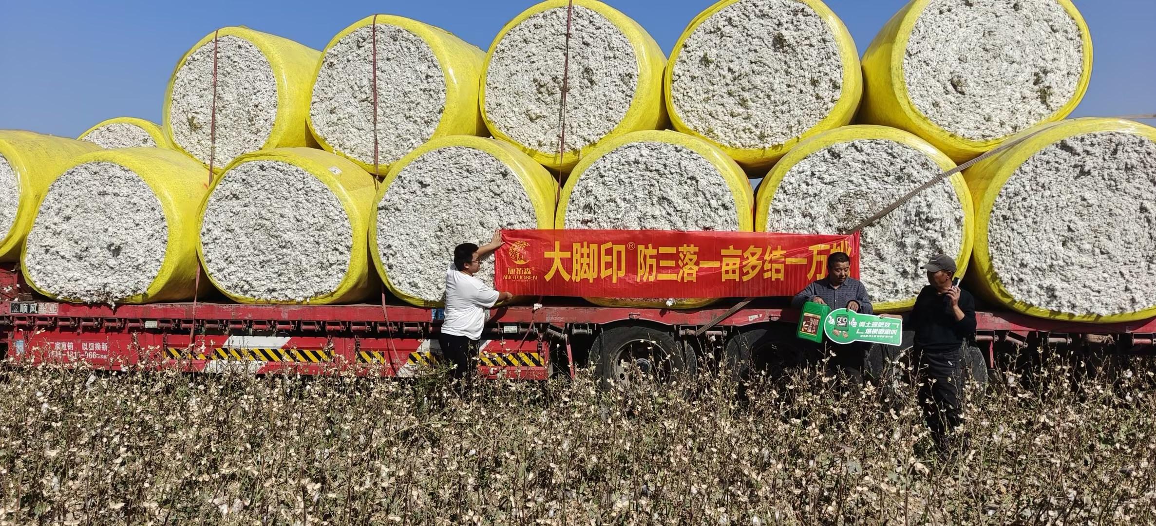 康拓森产品图片