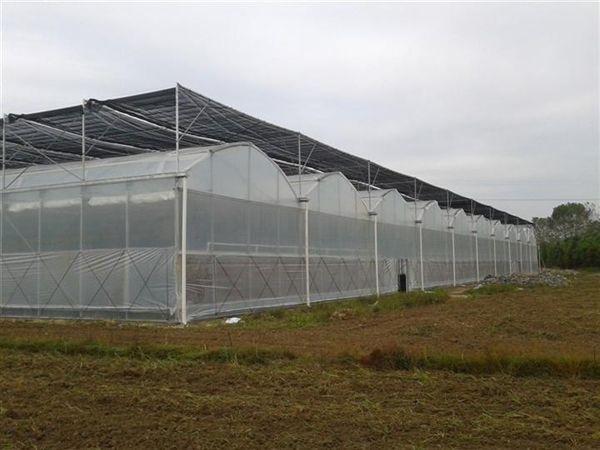 温室图片
