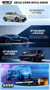 液压阻尼杆、轿车阻尼杆及新能源汽车阻尼杆优质厂家推荐，品质之选