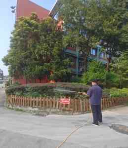 自贡、成都、四川等地除跳蚤服务推荐：成都仁民专业治理方案