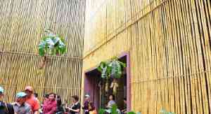 仿真竹篱笆、塑料仿真竹子等优质厂商推荐，为您打造自然之美