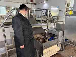 多地Kosher认证服务机构推荐，青岛赛克斯专业服务助力企业开拓国际市场