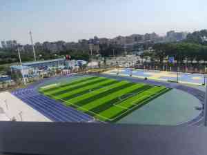 注塑草皮厂家推荐：操场、绿化、运动场等多场景适用的优质之选