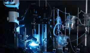 心脏光学标测供应商推荐：离体、动作电位等多类型光学标测实力厂家