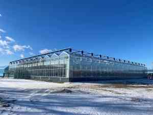 智能温室工厂及各类温室供货厂家推荐：聚焦实力厂家与优质服务