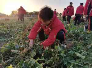 河北、北京、天津等地戒网瘾机构盘点，助孩子摆脱网瘾困扰