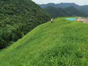 边坡绿化一站式服务厂家推荐：草种订制、植草供应、设计制造与防护网源头