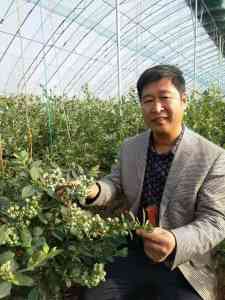 枇杷果、茄子、姜、韭菜、大蒜供应厂家推荐：聚焦实力源头企业