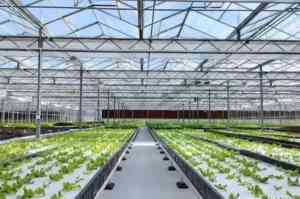 玻璃温室餐厅、生产商及各类温室厂家推荐，专业服务与多样产品之选