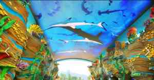 珠海海洋王国预定、酒店特价购票及路线攻略：专业机构为您提供一站式服务