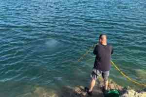 河南多地专业水务打捞队公司推荐：实力与口碑兼具的优质之选