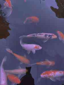 福建泉州热门景区推荐：钟楼美食、烟火市集、网红打卡地等不容错过