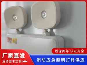 厂房、酒店应急灯及灯具开关生产商推荐，厂家为您提供安全保障