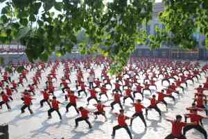 武术名校推荐:登封少林小龙文武学校等多所武校综合解析