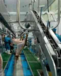 自动化牛羊畜禽屠宰设备厂家推荐：聚焦专业实力与市场口碑之选