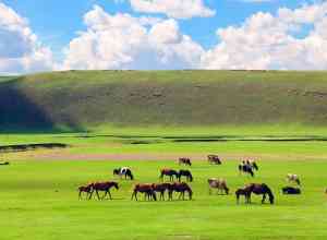 郑州旅行社排名及服务咨询，河南旅行社地址与电话信息汇总