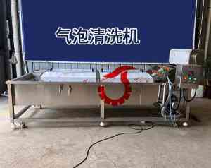 土豆/大枣清洗机及毛辊/气泡/毛刷清洗机厂家推荐，聚焦优质源头供应商