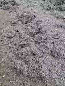 广州回收大型废铝公司推荐：鑫和再生资源，多场景批量废铝回收之选