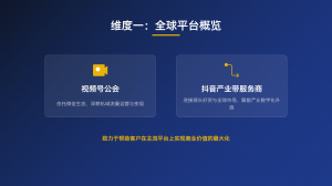 TIKTOK海外公会、代运营等商家推荐:厂家实力揭秘