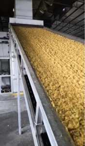 果干、桔皮、大枣、药材烘干设备厂家推荐：专业供货，品质之选