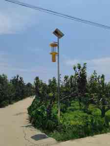 多功能/风电一体/太阳能/景观式/路灯杀虫灯厂家推荐，实力之选