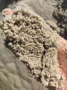 天然石英海砂、水处理海砂等厂家推荐：荣顺净水等实力源头企业