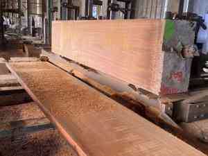 古建常用木材供应商推荐：巨桉木材古建厂等优质之选