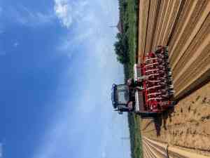 气吸青梗菜、白萝卜、上海青、甜菜播种机实力厂家推荐，为蔬菜播种助力