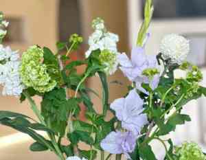 北京美白淡斑、抗皱净肤、眶隔修护等优质护理体验推荐