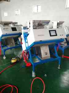 立式碾米机及成套碾米设备厂家推荐：聚焦专业定制与优质服务