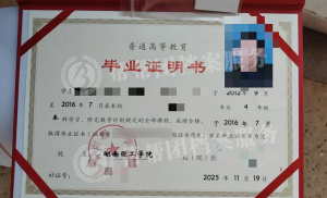 湖北、上海等地毕业证补办咨询服务推荐:专业机构为您排忧解难
