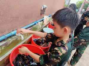 广州黄埔军校相关青少年特训营咨询:优质选择助力青少年成长