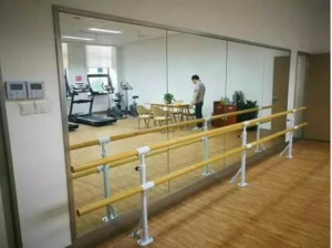 成人舞蹈把杆供应商推荐:升降、移动、固定、双层把杆厂家大揭秘