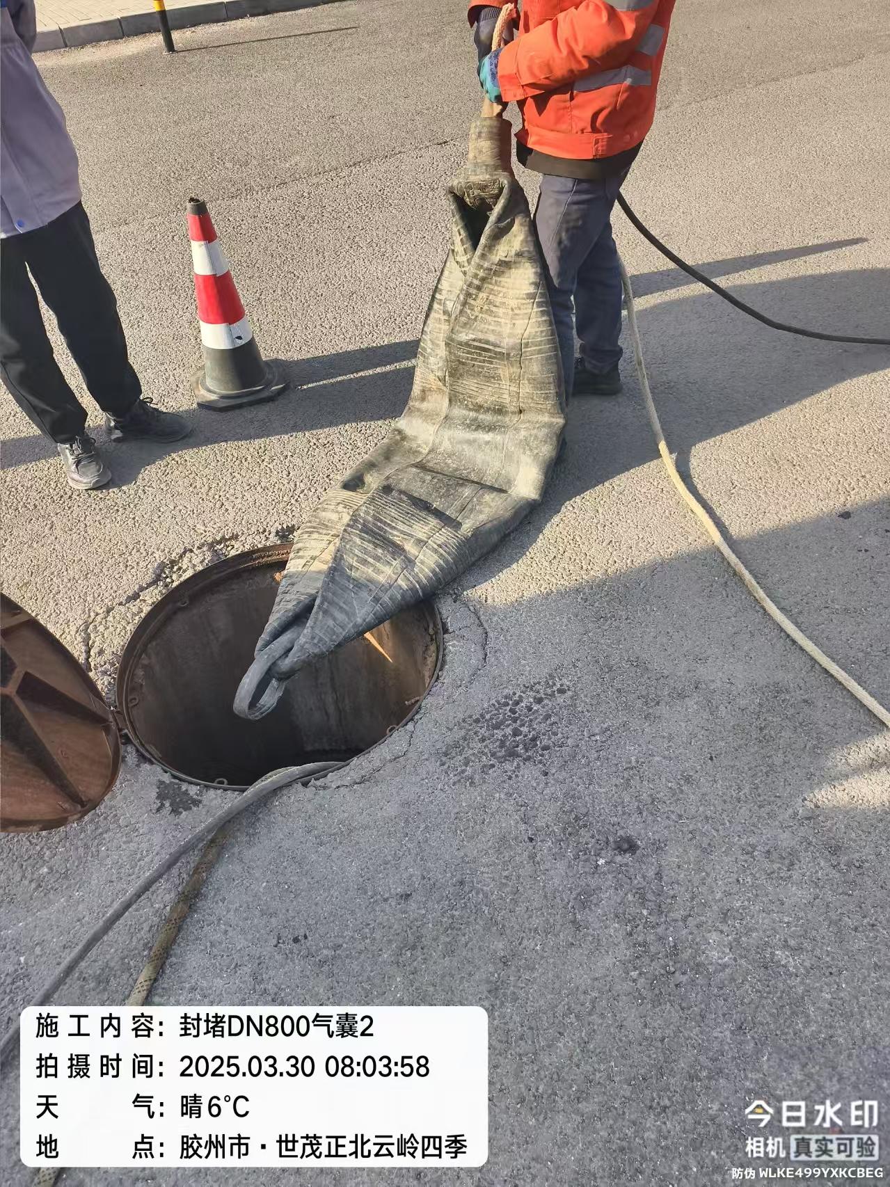 相关图片