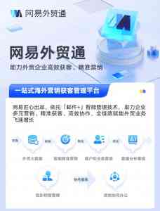 深圳与广东优质网络服务公司推荐:涵盖SEO、AI建站、搜索优化等领域