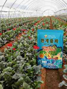 韩国进口水溶肥、大棚蔬菜肥等优质厂家推荐，为农业发展助力