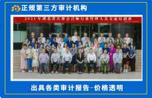 武汉工会审计、工程审计、专精特新审计等服务优质机构推荐