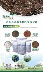 温室/大棚/花卉杜鹃通用蓝莓专用基质厂家推荐：优质厂商精准之选
