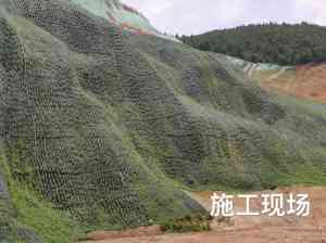 客土喷播挂网及铁丝网定制厂家推荐，优质供货企业不容错过